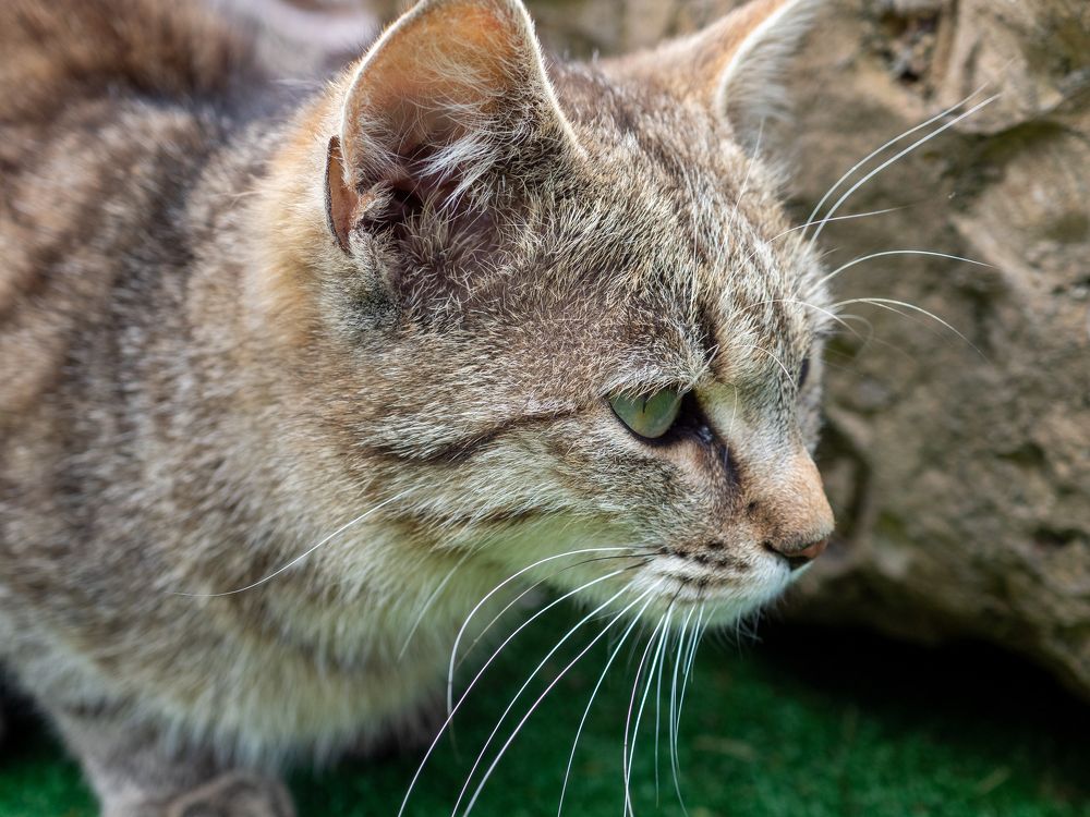 Photograph by Pucs Fongabe