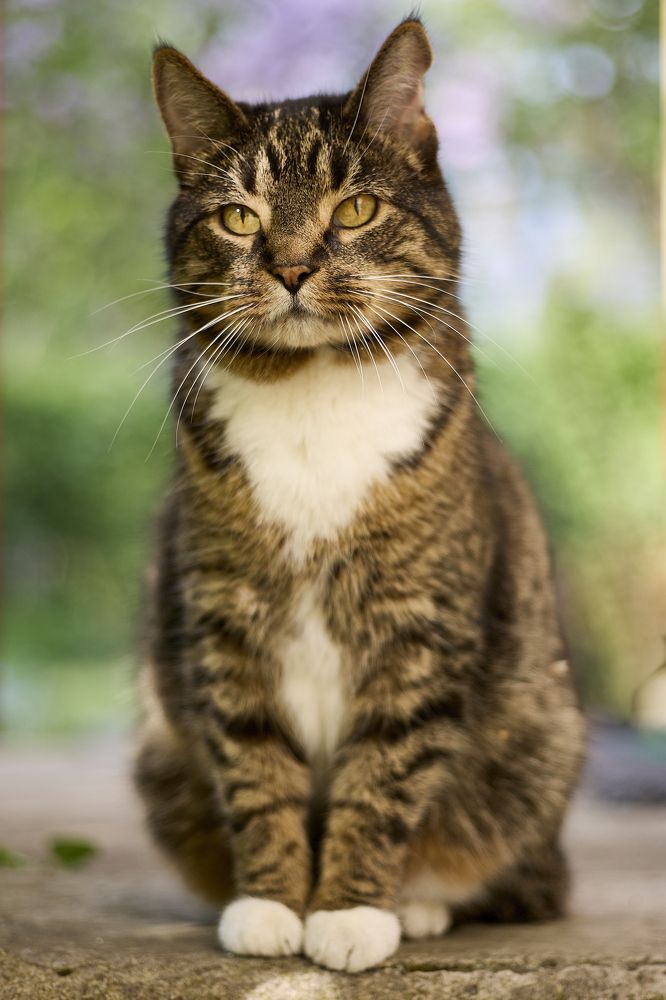 Photograph by Татьяна Полянская