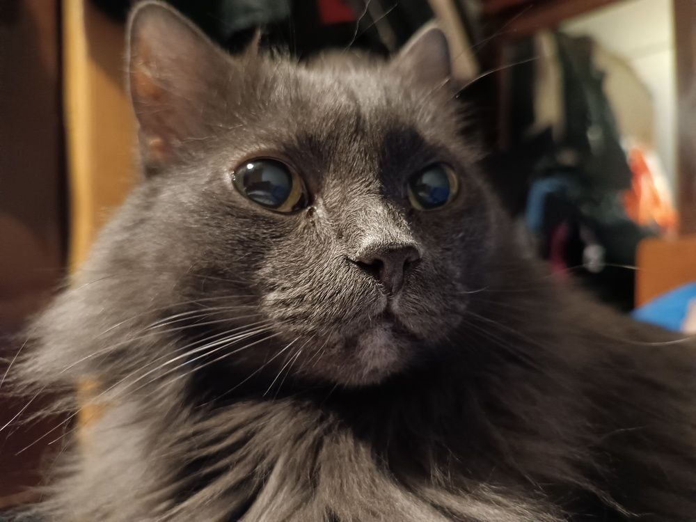 Photograph by ЮЛИЯ ОБРОКОВА