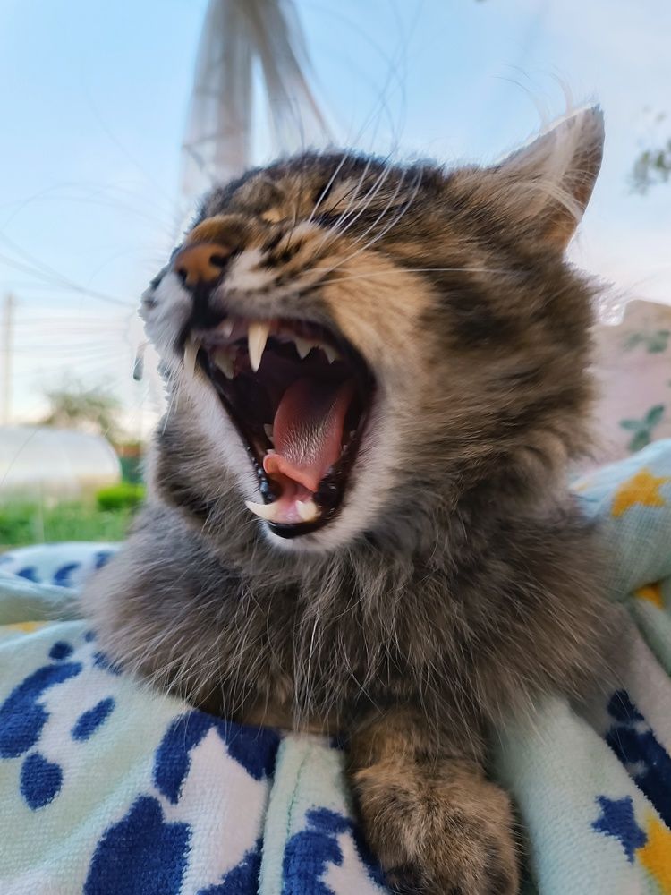 Photograph by ЮЛИЯ ОБРОКОВА