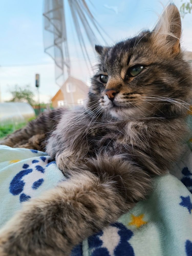 Photograph by ЮЛИЯ ОБРОКОВА