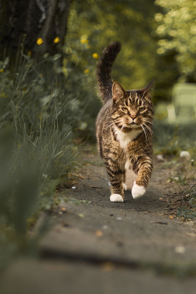 Photograph by Татьяна Полянская