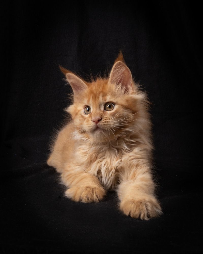 Фотография автора Наталья Якушонок