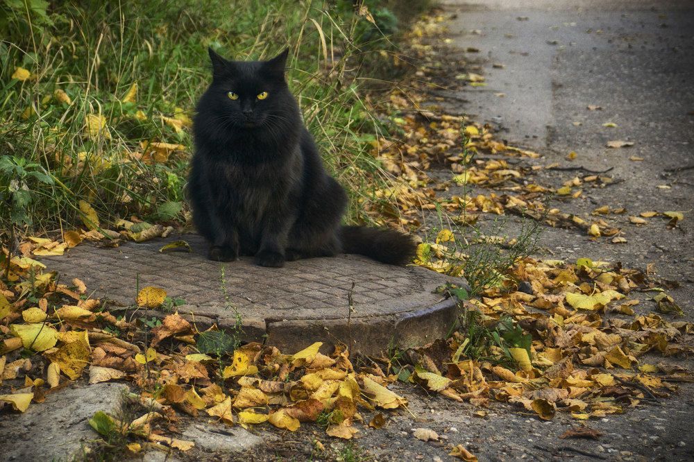 Photograph by Сандра