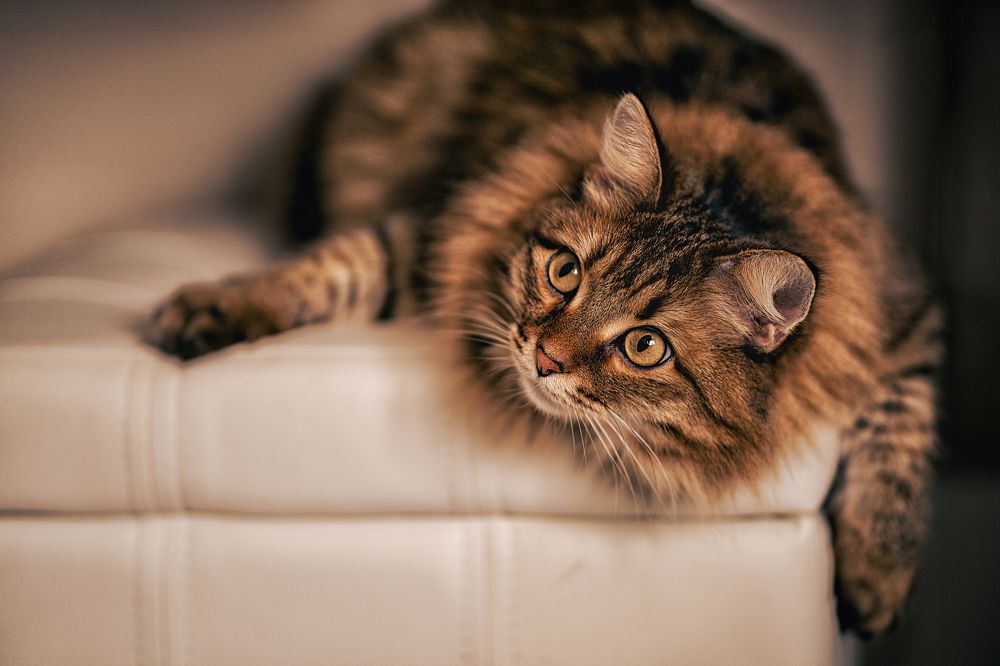 Photograph by Мария Сафронова