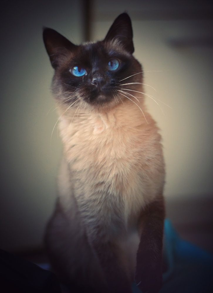 Фотография автора Юлияна Стоянова