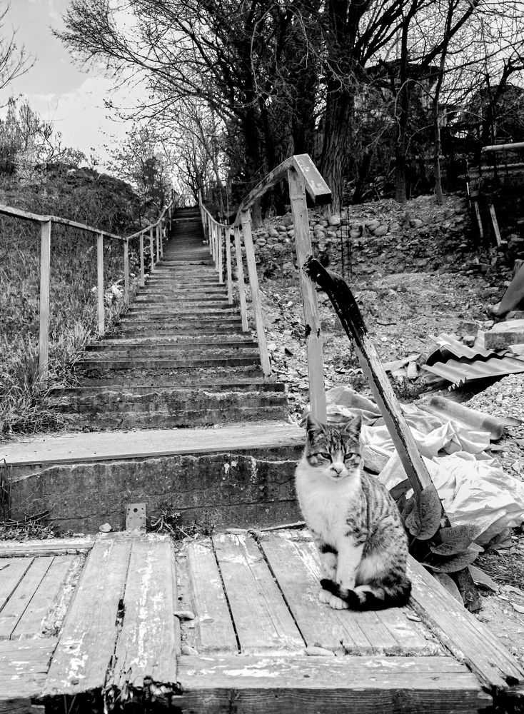 Photograph by Сергей Христинич