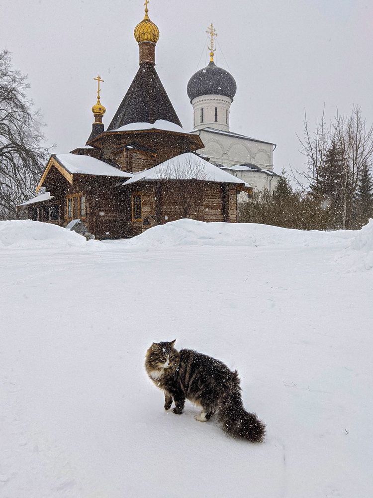 Photograph by Сандра