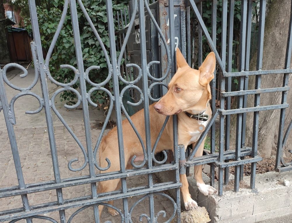 Photograph by Сергей Христинич