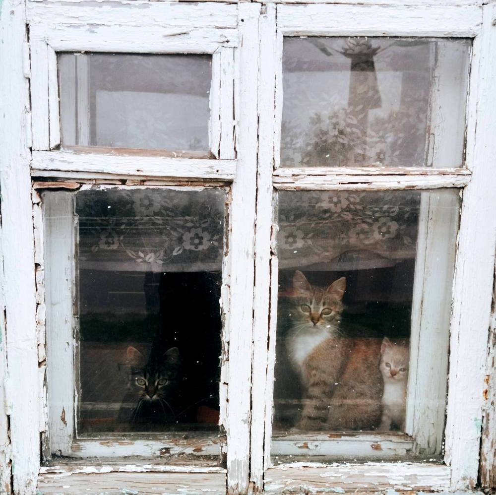 Фотография автора Галина Бобкина