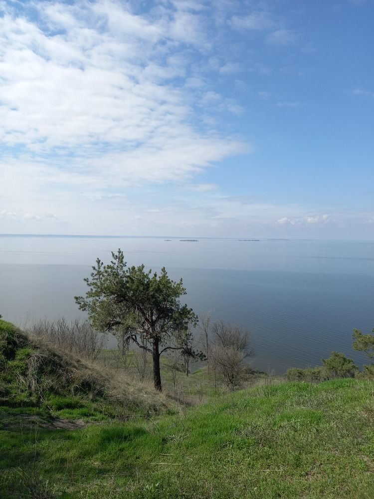 Фотография автора Oksana Podgorodetska