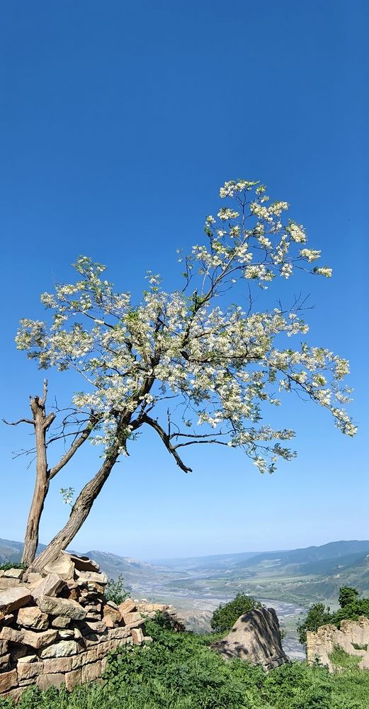 Photograph by Наталия Мельникова