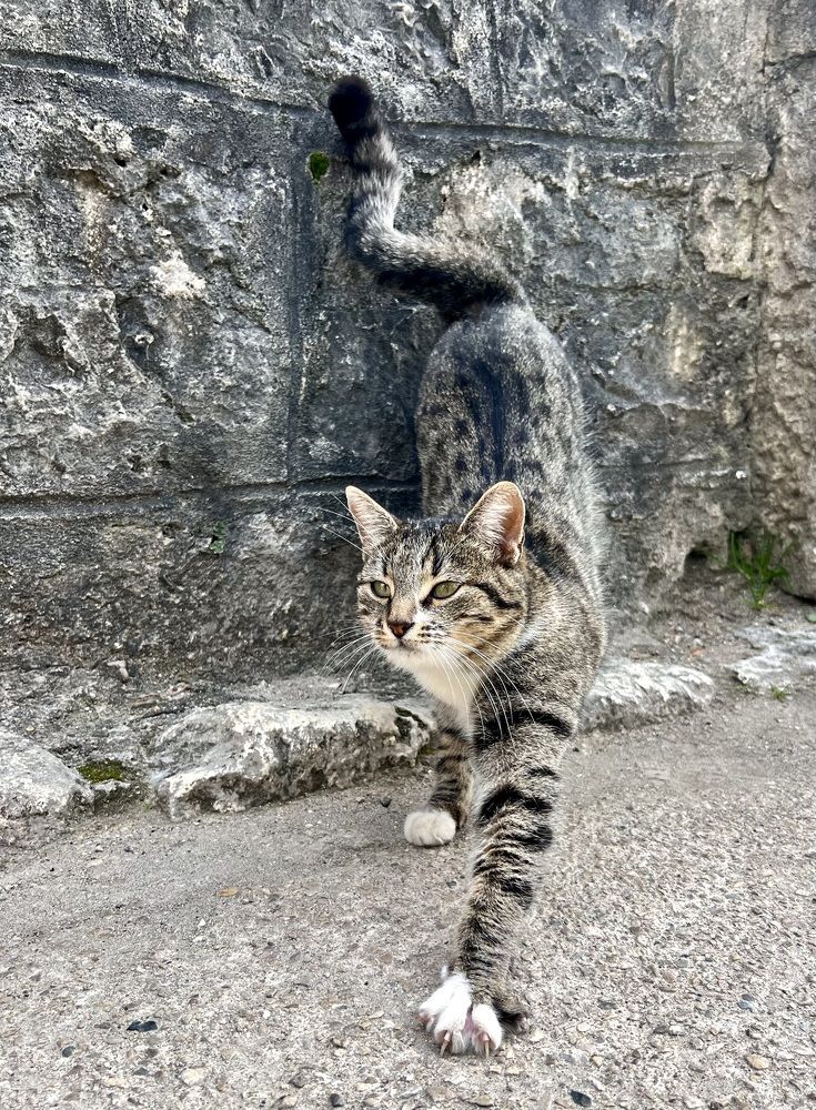 Photograph by Елена Мизина