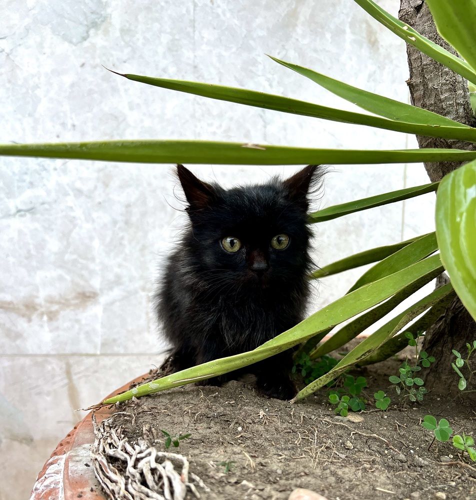 Photograph by Елена Мизина