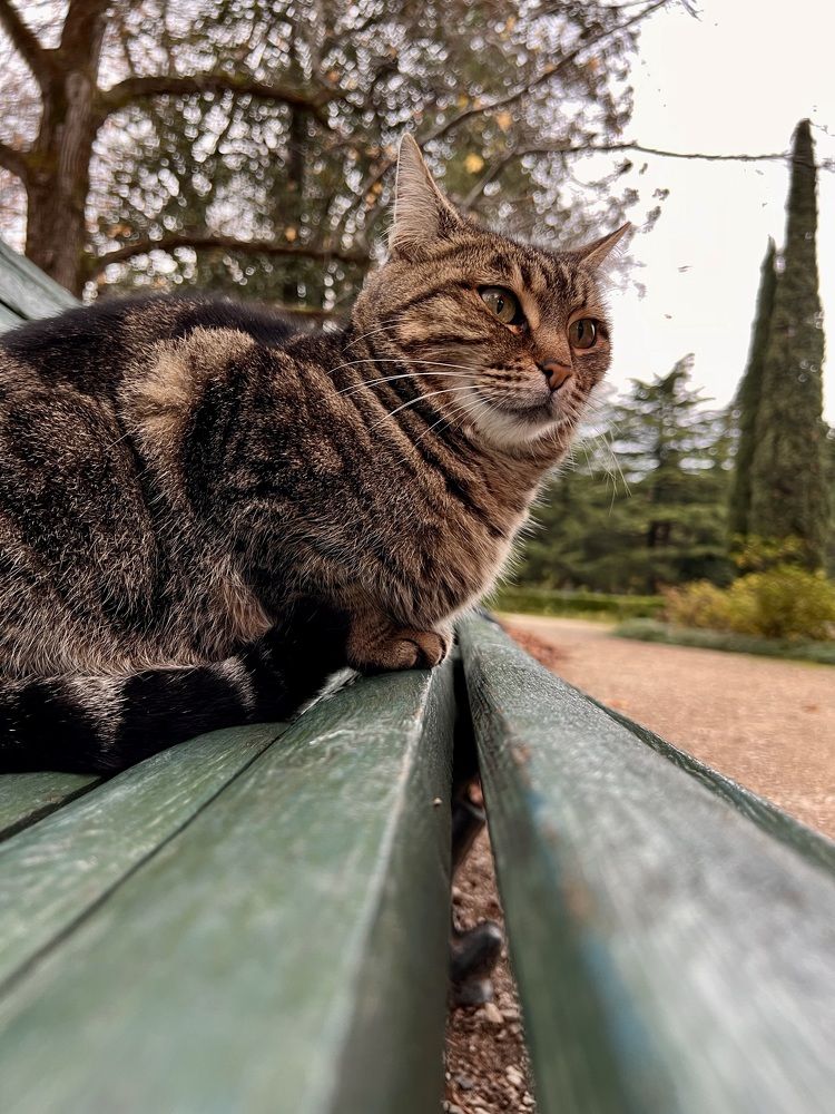 Photograph by Елена Мизина