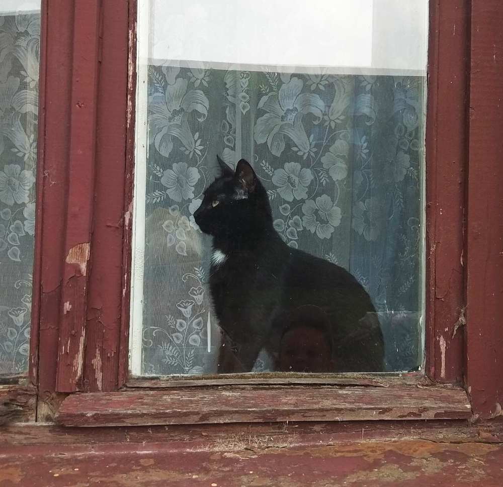 Фотография автора Галина Бобкина