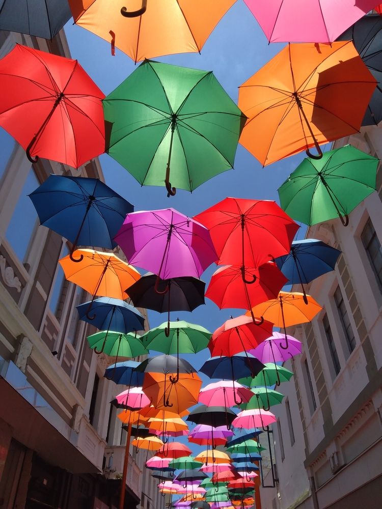 Photograph by Mônica Rodrigues