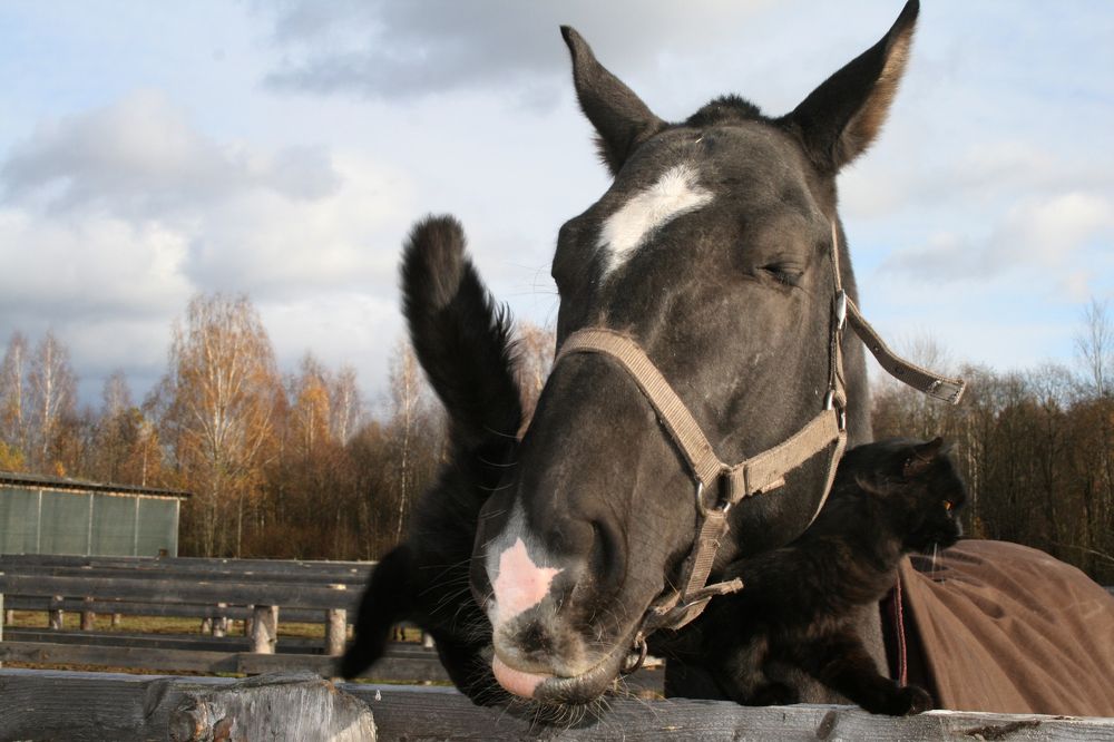 Photograph by Лолита Богачева