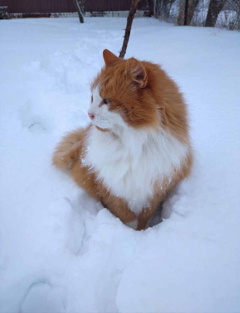 Photograph by Елена Коробченко