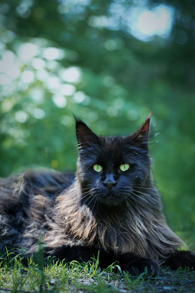 Photograph by PINAR ERGUL