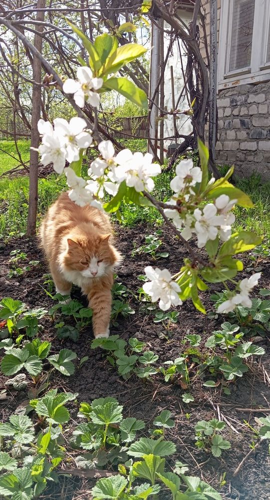 Photograph by Елена Коробченко