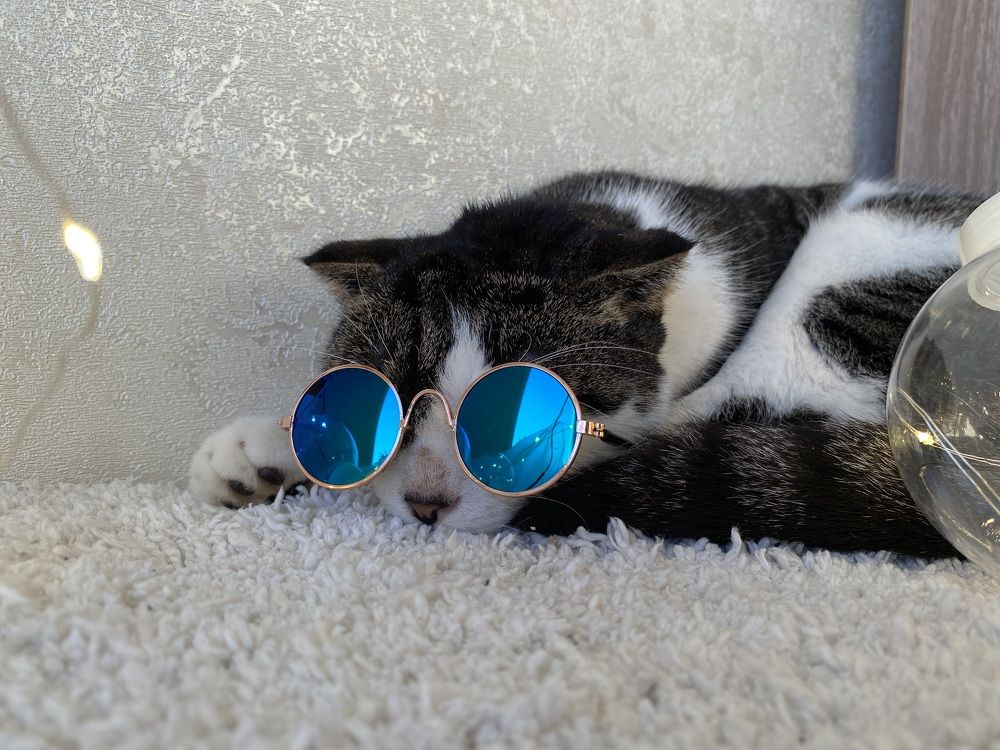 Photograph by Анастасия Лукьянюк