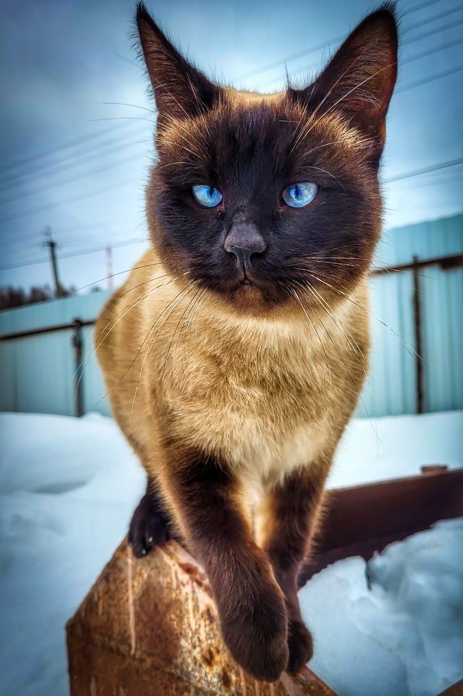 Photograph by Сергей Назаредский