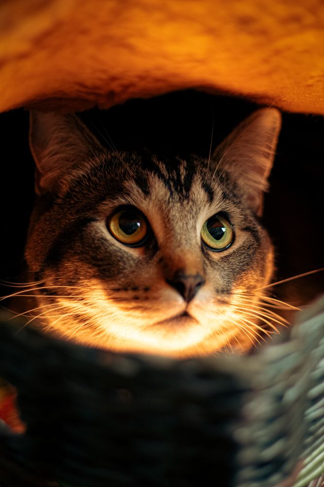 Photograph by Синицын Дмитрий