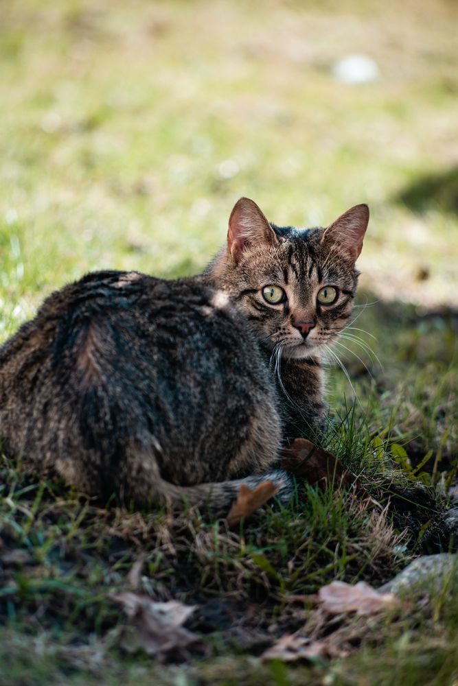 Photograph by Николай Роженцев