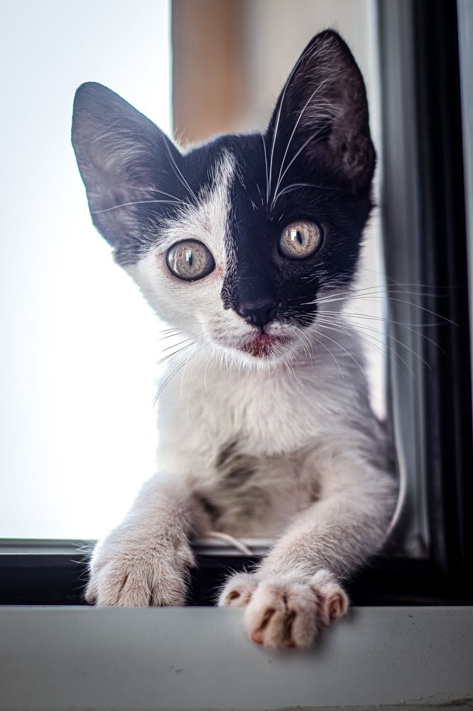 Photograph by PINAR ERGUL