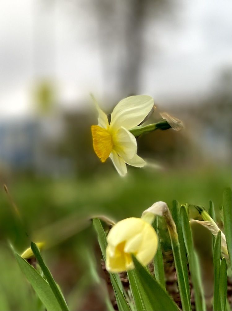 Photograph by Svetlana Georkova