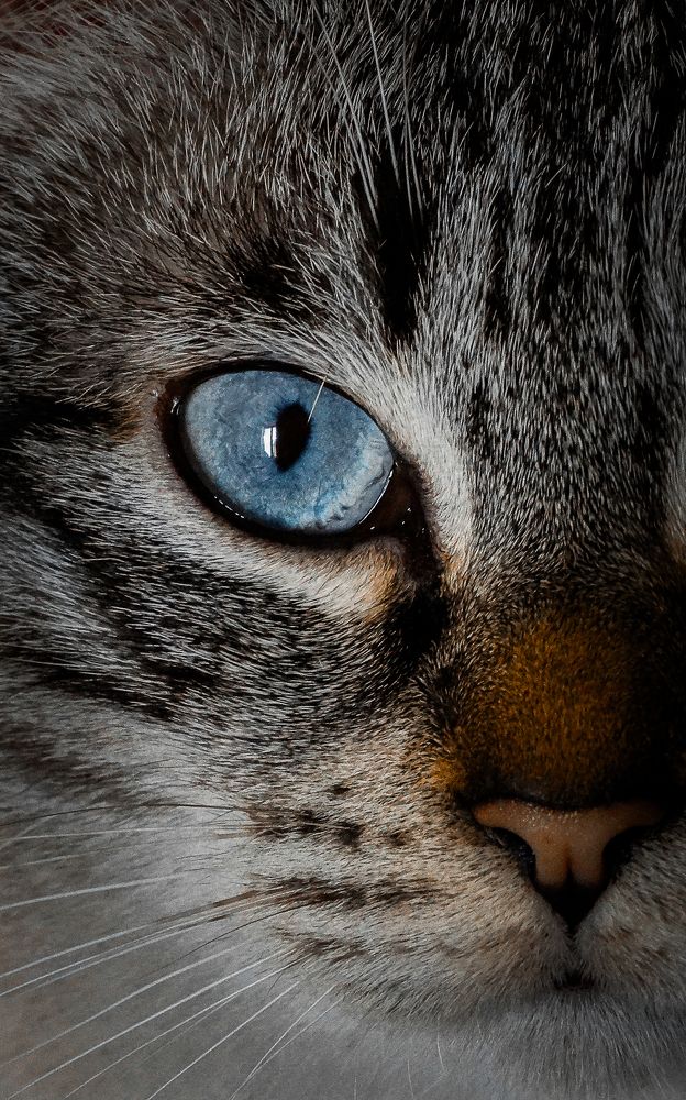 Photograph by Vlad Nanau