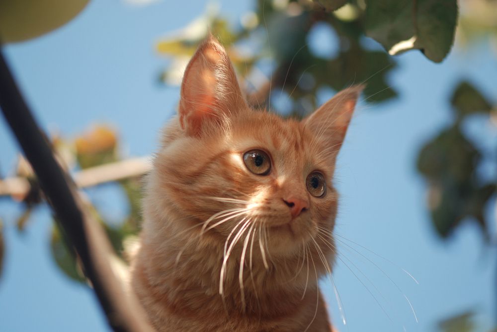 Photograph by Екатерина Савостикова