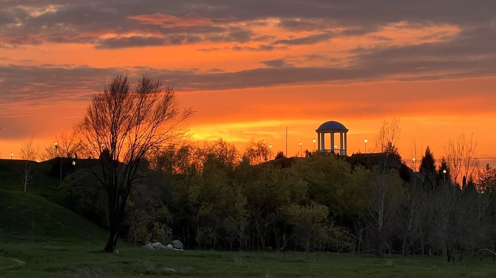 Photograph by Ольга Панкова