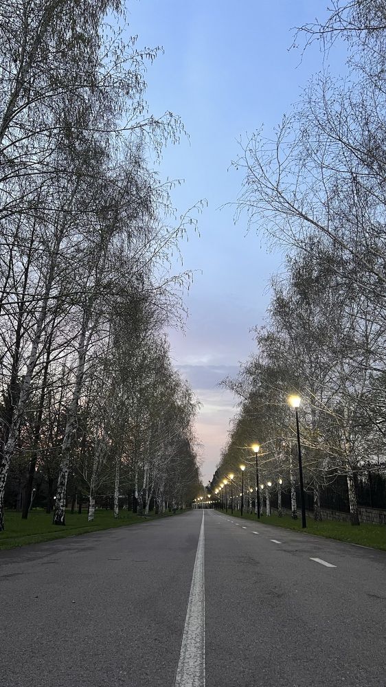 Photograph by Ольга Панкова