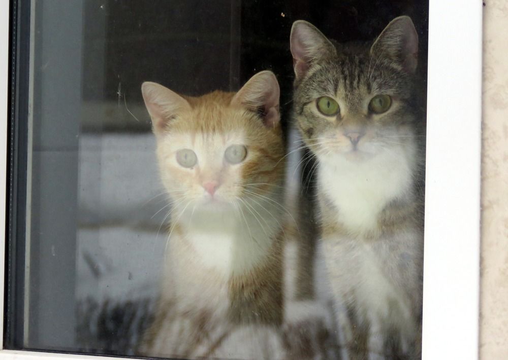 Photograph by Галина Пименова