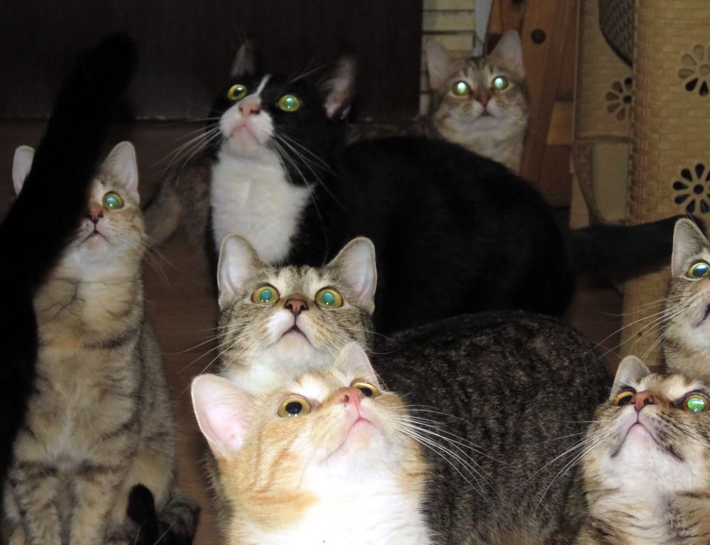 Photograph by Галина Пименова