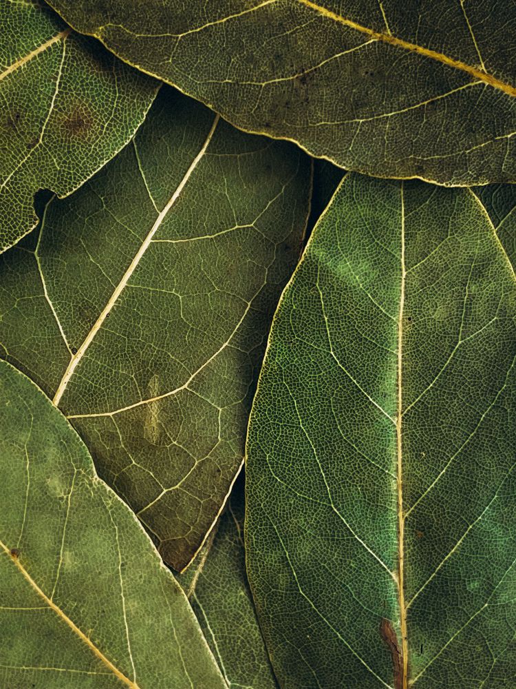 Photograph by Ляйсан Саляхиева