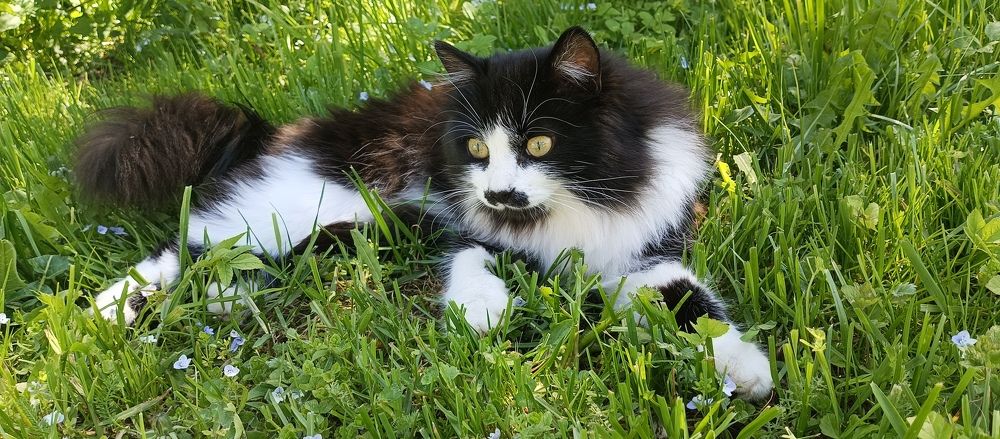 Photograph by Олеся Жакова