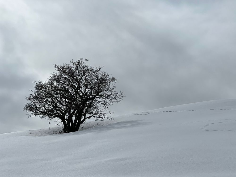 Photograph by Ольга Панкова