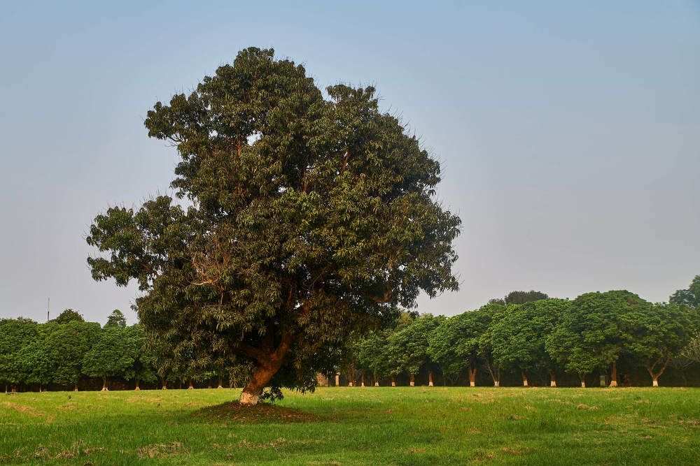 Photograph by Дмитрий Солодухин