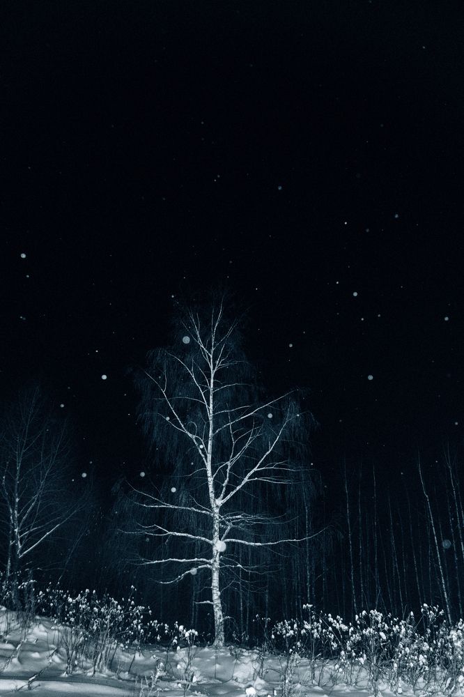 Photograph by Надежда Родионова