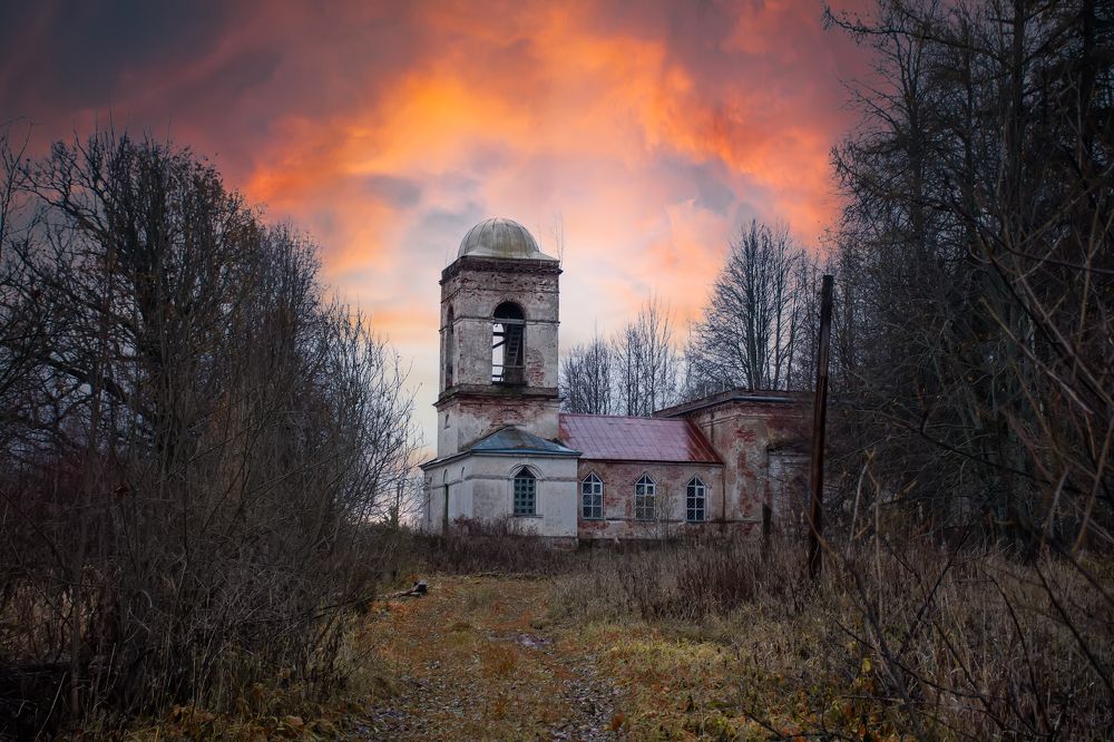 Photograph by Эльвира Коваль