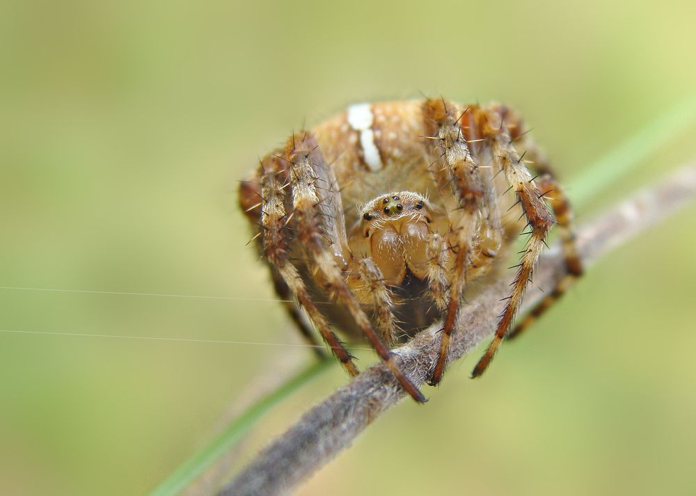 Photograph by Павел Колеснев