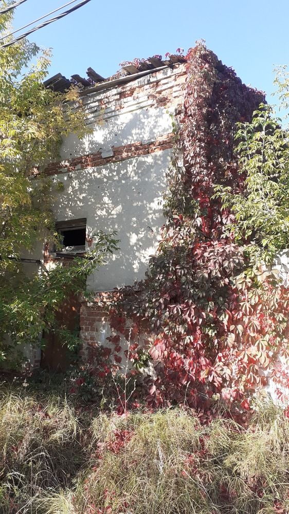 Photograph by Елена Лещева