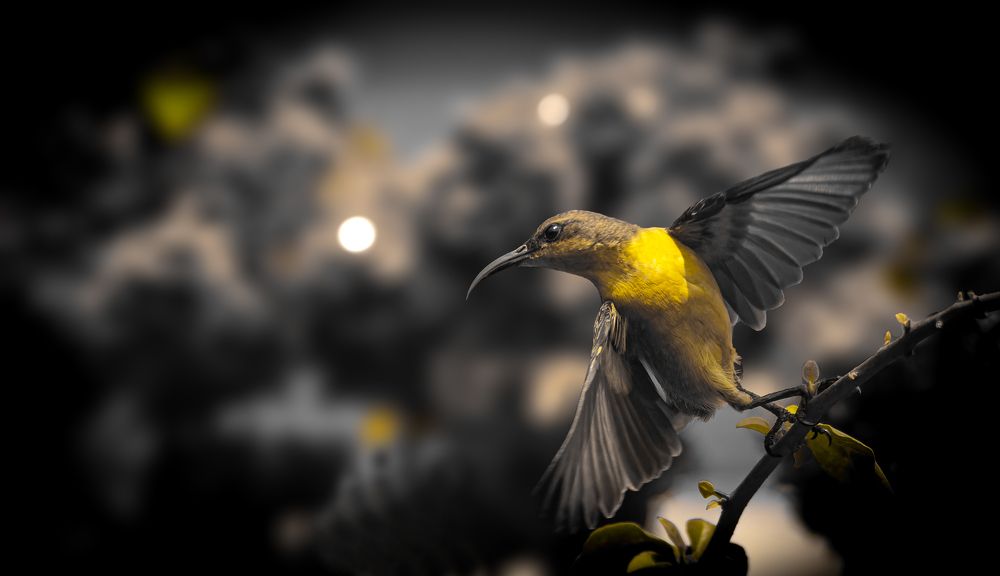 Фотография автора Muhammad Ziaul Haque