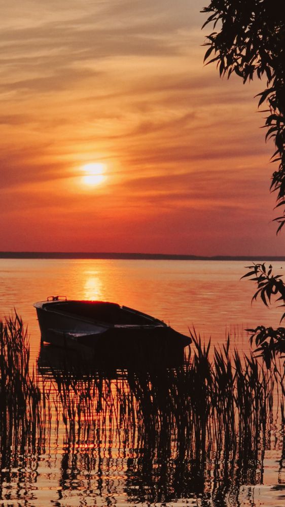 Фотография автора Всеволод Юрша