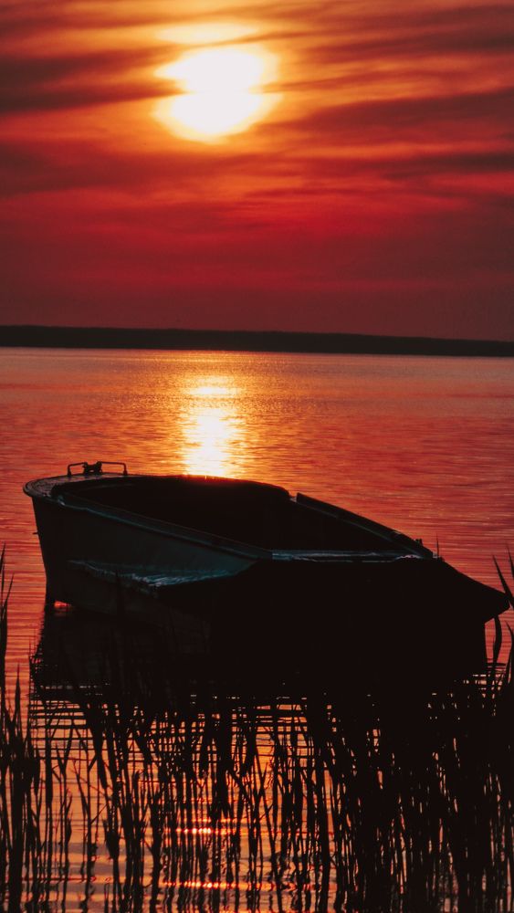 Фотография автора Всеволод Юрша