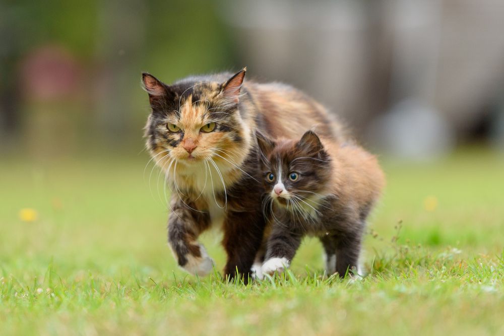 Photograph by Юрий Макаров