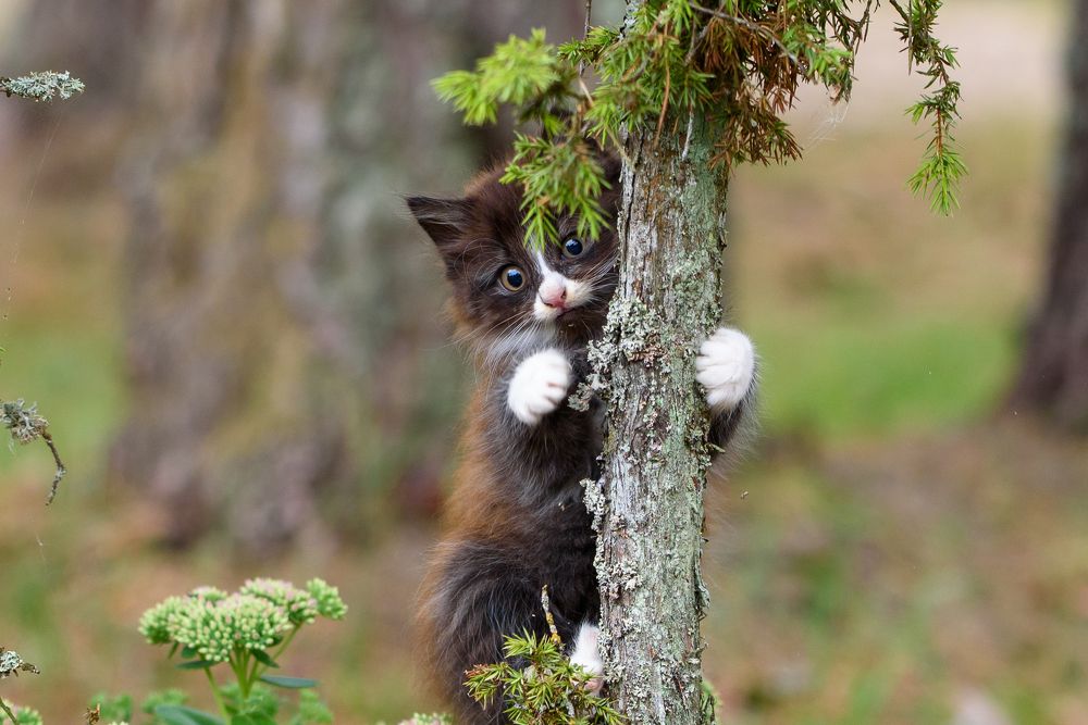 Photograph by Юрий Макаров